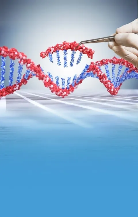 Sequencing Services & Training Courses